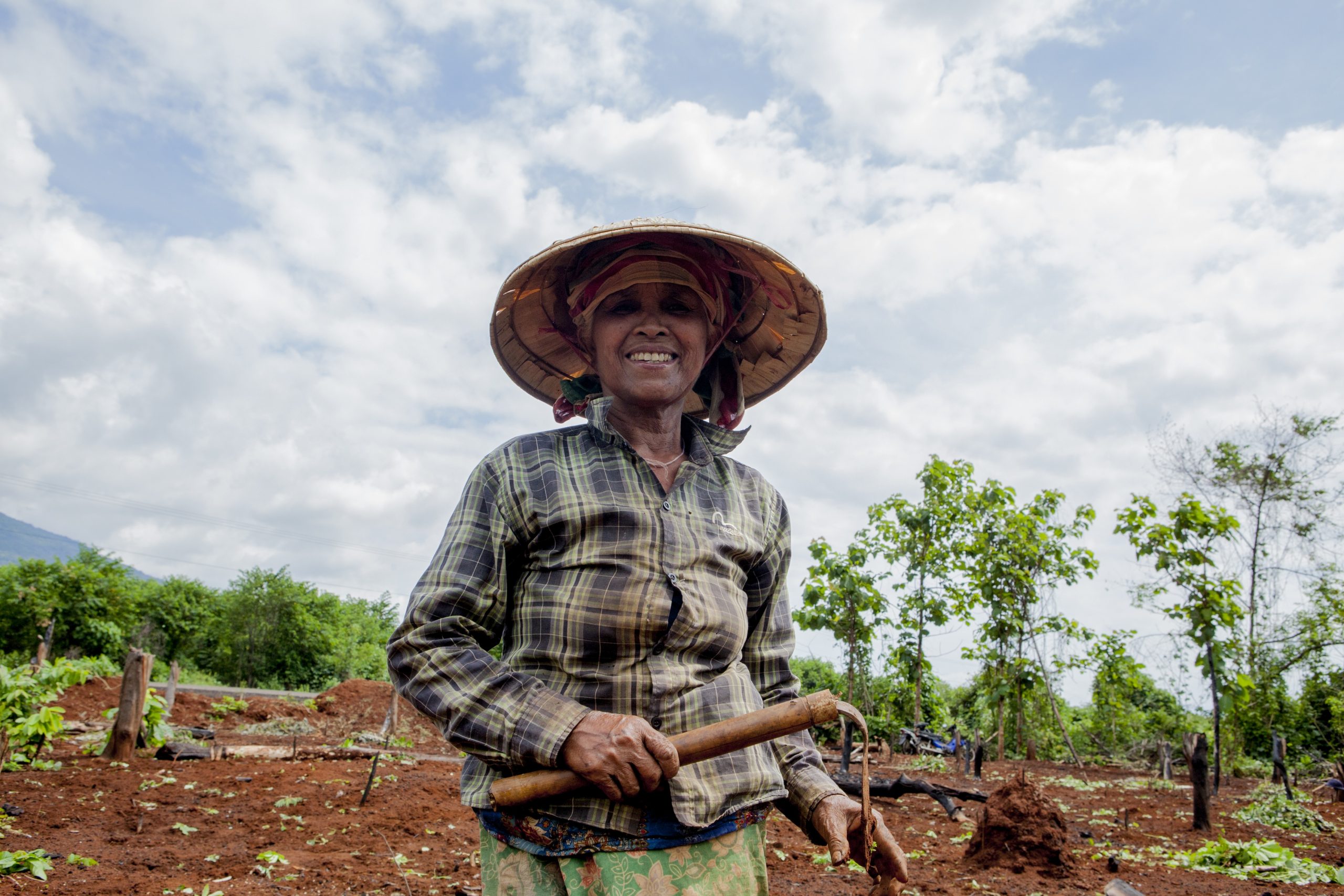 Femme dans un champ à Luang Prabang au Laos