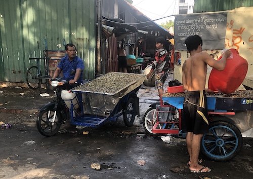 Les vendeurs de coquillages du quartier de Boeung Trabaek
